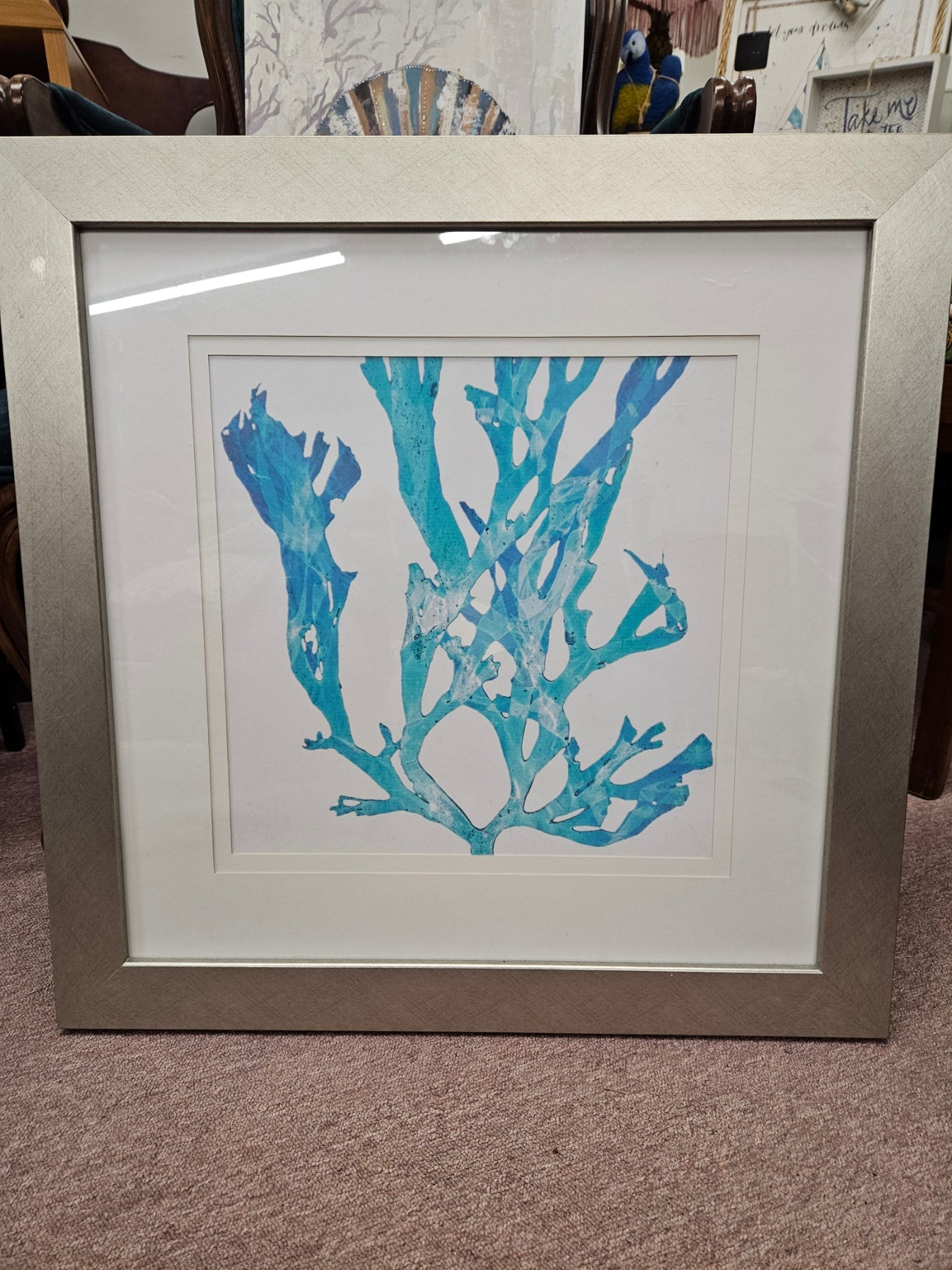 Framed Coral Print