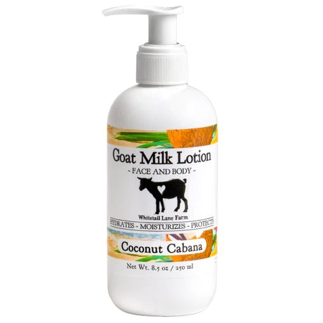 Coconut Lotion
