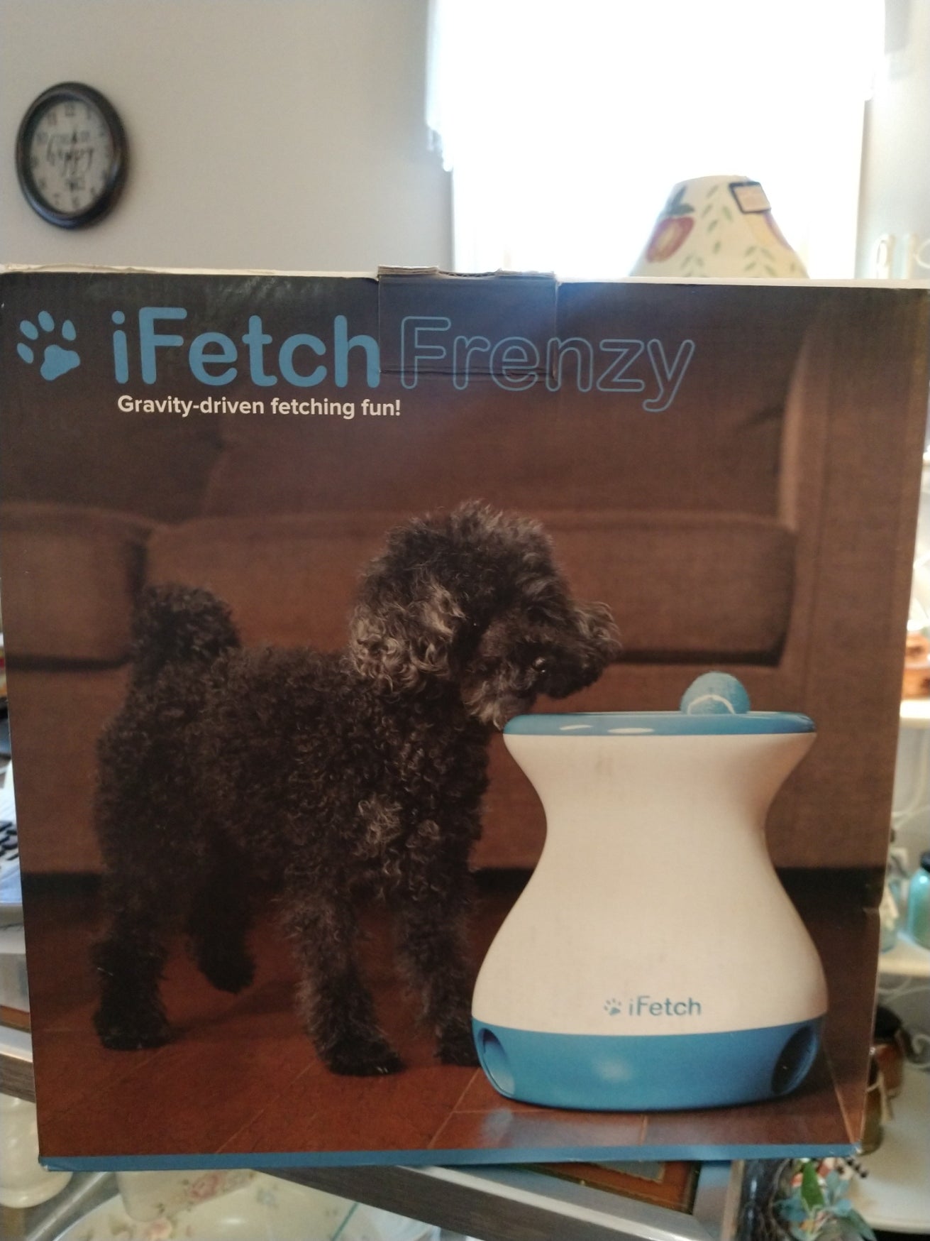 iFetch