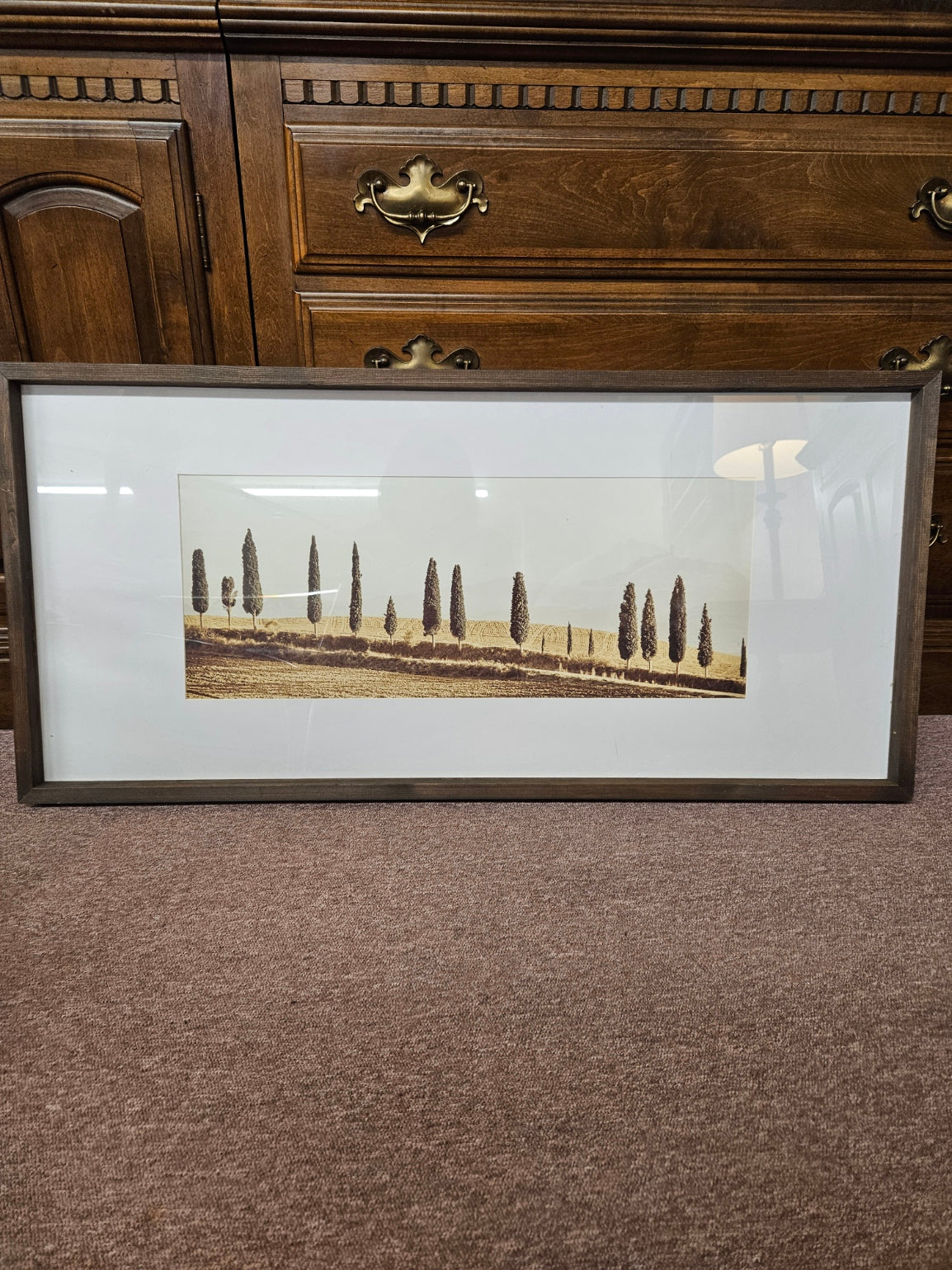 Framed Tree Line Print