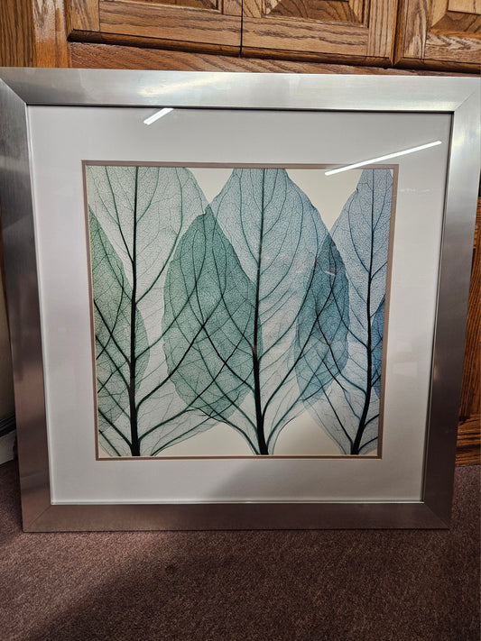 Framed Leaf Prints