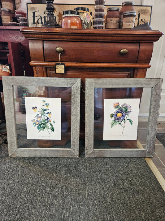 Pair of Floral Prints in Gray Frames