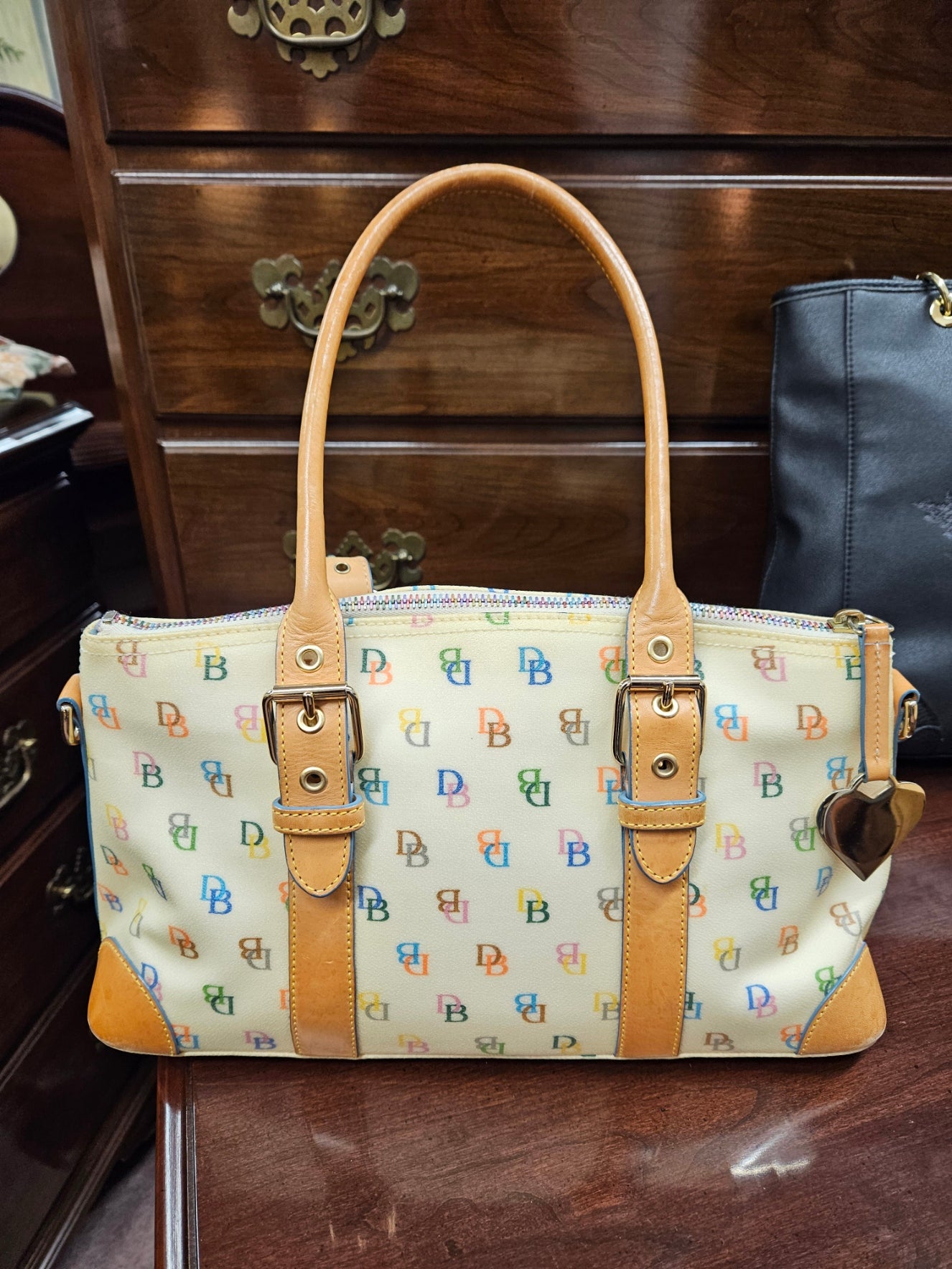 Dooney & Burke Bag